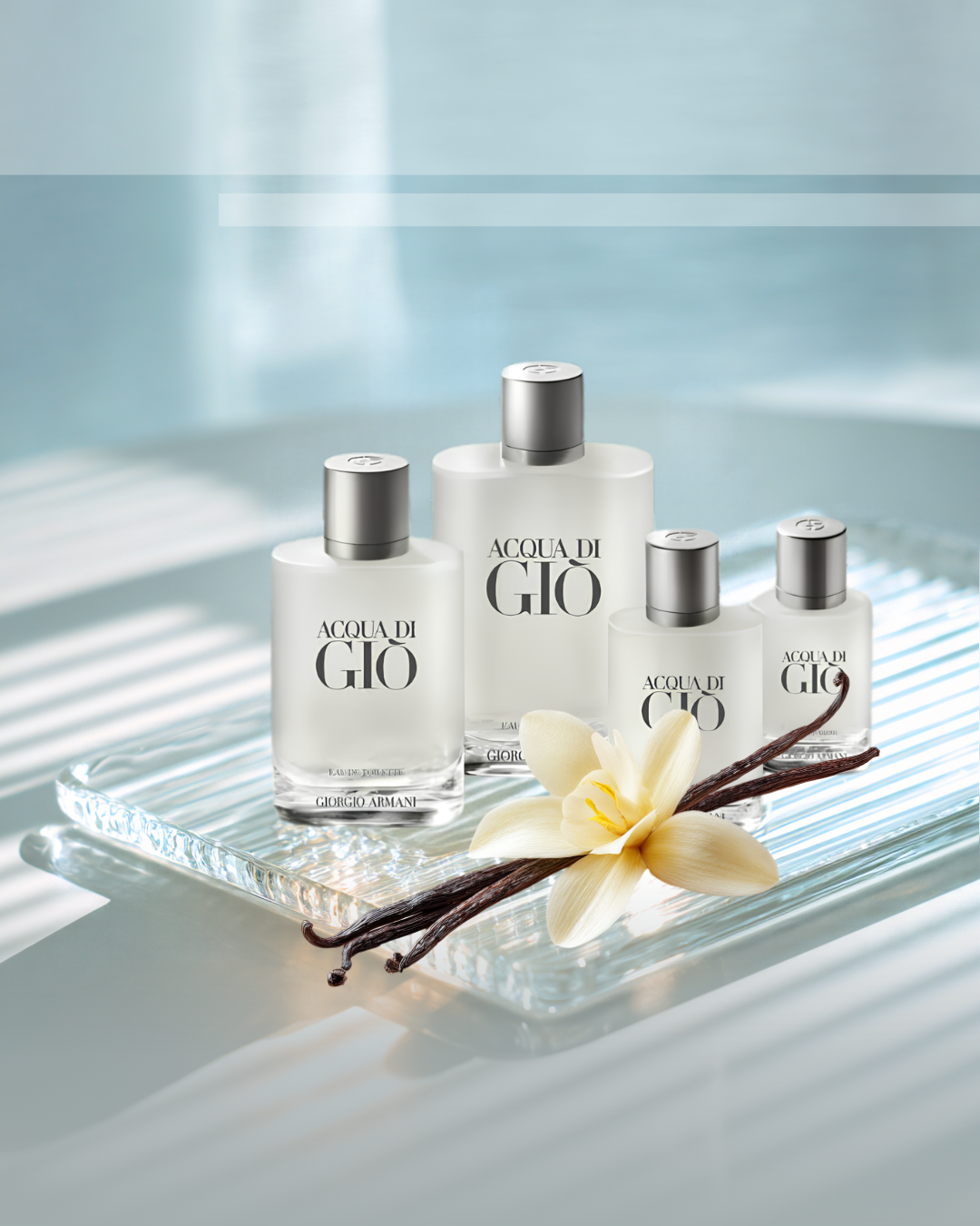 Giorgio Armani Acqua Di Gio Eau De Toilette 3.4 OZ