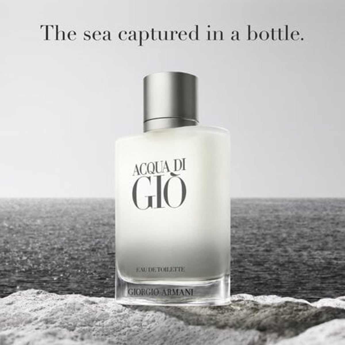 Giorgio Armani Acqua Di Gio Eau De Toilette 3.4 OZ